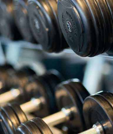 A rack of weights personal training